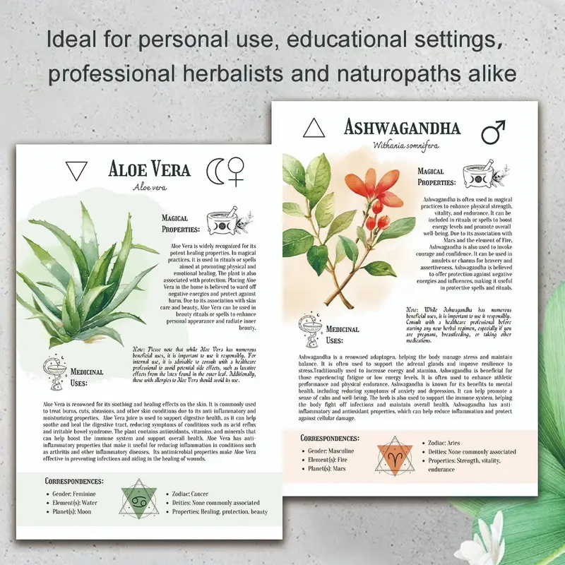 Natural Remedies Handbook with - Health & Wellness Rehab 评论和价格