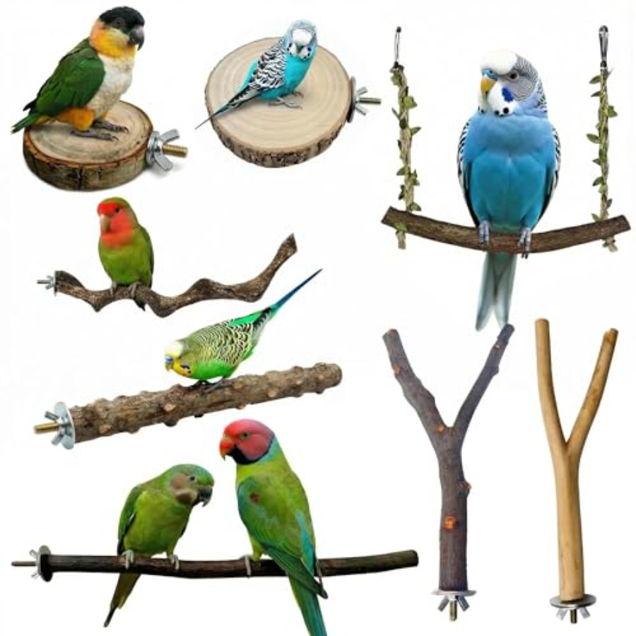 8PCS natural wood bird perches - Health & Wellness Rehab 评论和价格