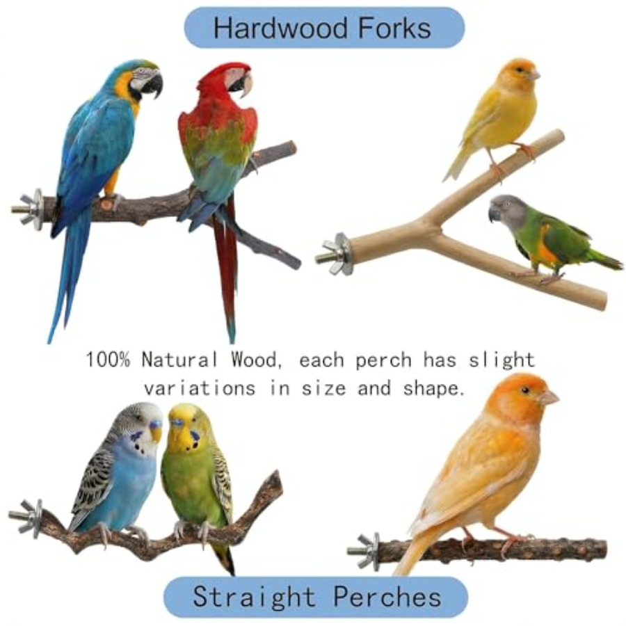 8PCS natural wood bird perches - Health & Wellness Rehab 评论和价格