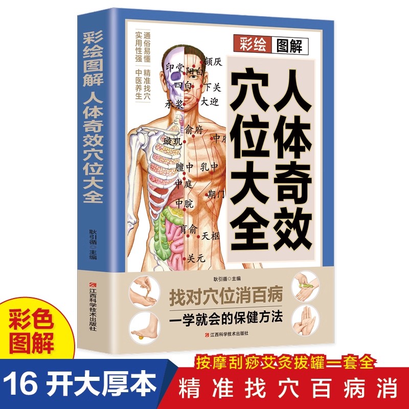 Acupoint Massage & TCM Health  - Health & Wellness Rehab 评论和价格