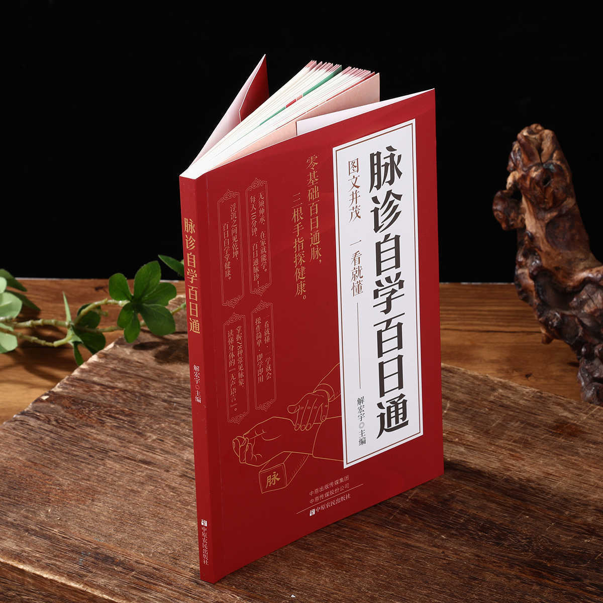 Pulse Diagnosis Self Study Hun - Health & Wellness Rehab 评论和价格