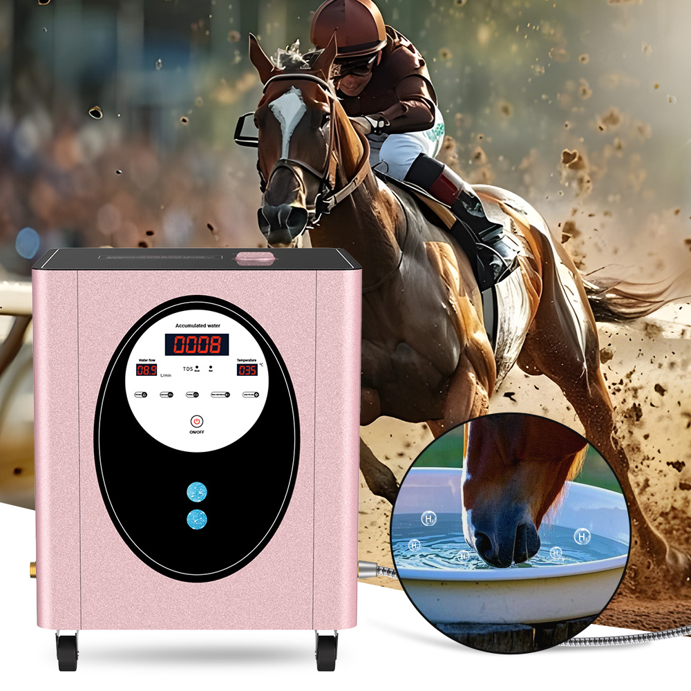 SUYZEKO Whole House Hydrogen W - Health Wellness Spa 评论和价格